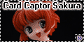 Clayz 1/6 Sakura Kinomoto, anime Card Captor Sakura