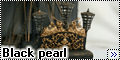 Звезда 1/72 Black pearl