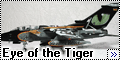 Revell 1/72 Tornado IDS Tigermeet - Eye of the Tiger1