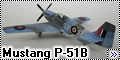 ICM 1/48 Mustang P-51B