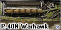 Hasegawa 1/48 P-40N Warhawk2