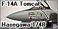 Hasegawa 1/48 F-14A Tomcat VF-84 Desert Storm Homecoming