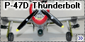 ARII 1/48 Republic P-47D Thunderbolt