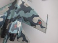 Конверсия 1/72 Су-30МКИ (из Trumpeter Су-30МКК)