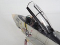 Hasegawa 1/48 Grumman F-14A Tomcat - Весёлый Роджер